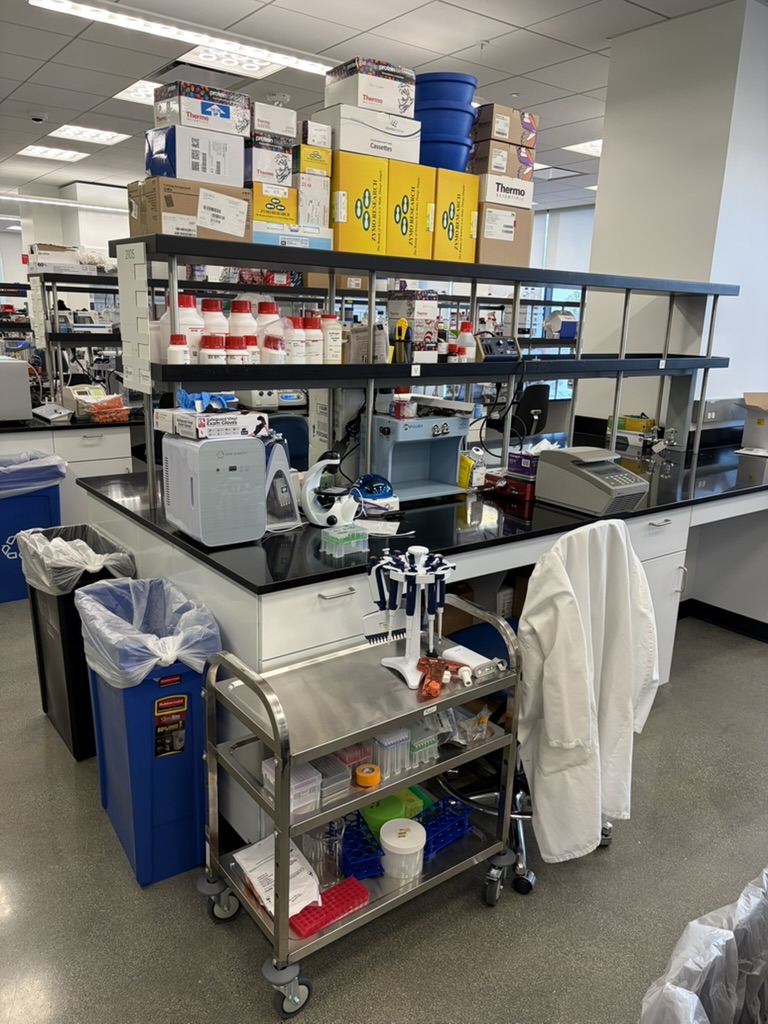 Lab bench filling up with equipment and supplies