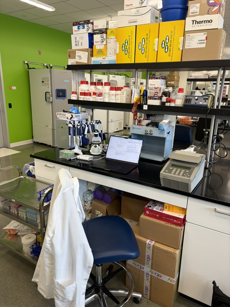 Lab bench, day 14, with boxes stacked on the shelves