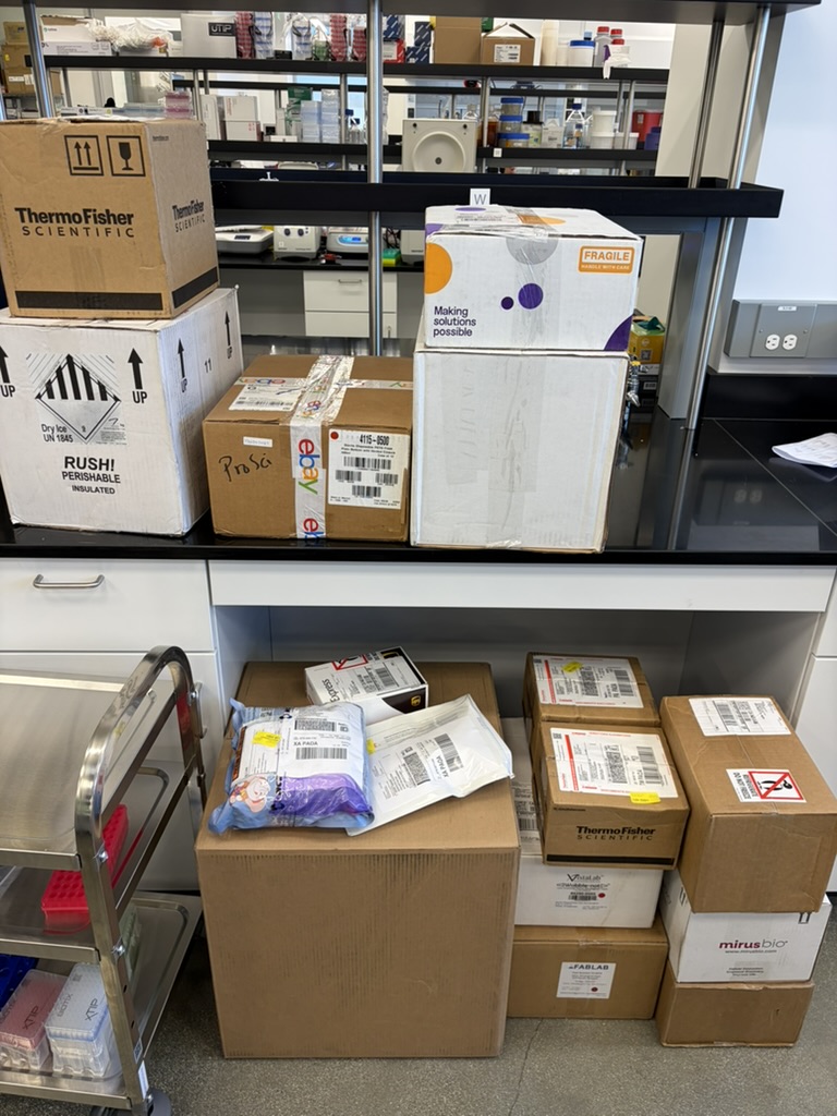 Boxes with lab supplies