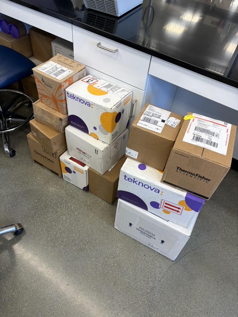 Boxes with lab supplies