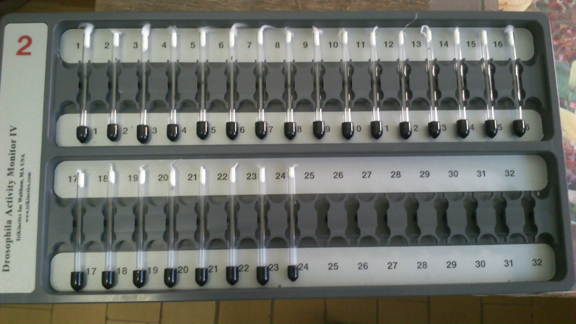 Монитор локомоторной активности от TriKinetics