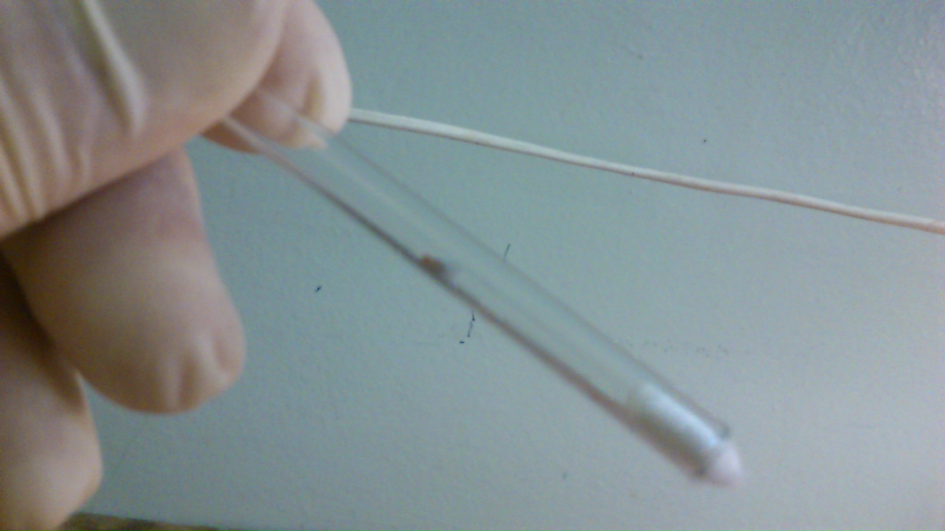 Плодовая мушка в пробирке TriKinetics